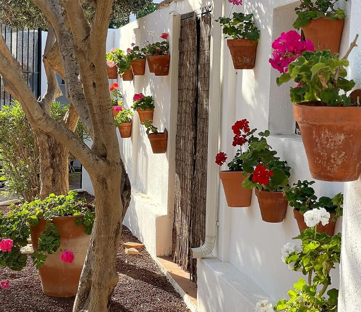 Frühstückspension Bed and Breakfast Boutique Hideaway Cortijo El Sarmiento (Adults Only) Mojácar